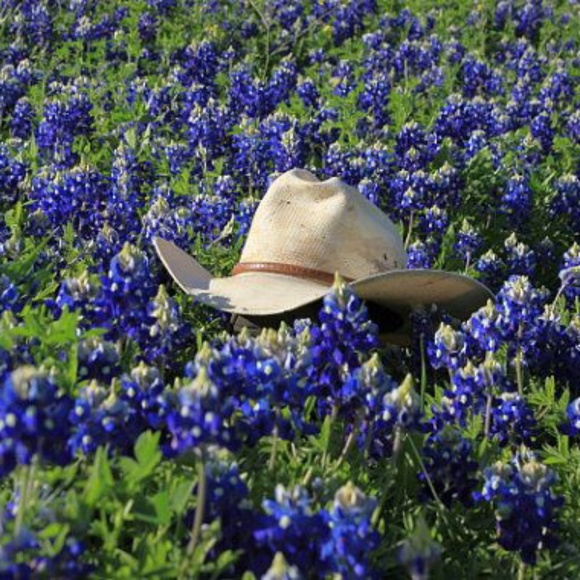 Meet your Posher, Dot - Picture 1 of 3